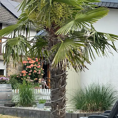 شقة Haus Cornelia Ii *