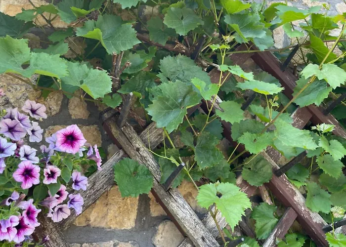 Haus Cornelia Ii Apartamento *